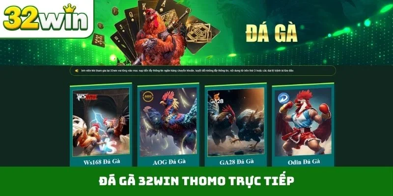 Đá Gà 32WIN Đá gà 32WIN Thomo trực tiếp
