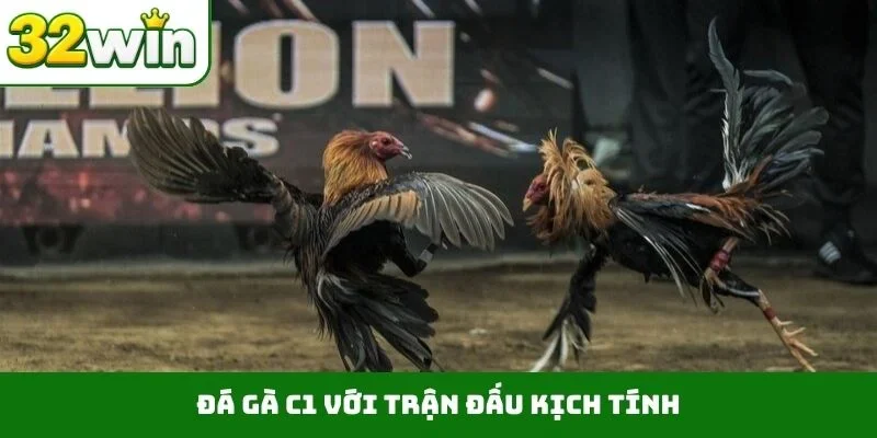 Đá Gà C1 – Bùng Nổ Giải Đấu Đỉnh Cao Gay Cấn Tại 32WIN Đá gà C1 với trận đấu kịch tính