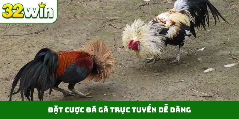 Đá Gà Trực Tuyến – Tận Hưởng Những Trận Đấu Nảy Lửa Tại 32WIN Đặt cược đá gà trực tuyến dễ dàng
