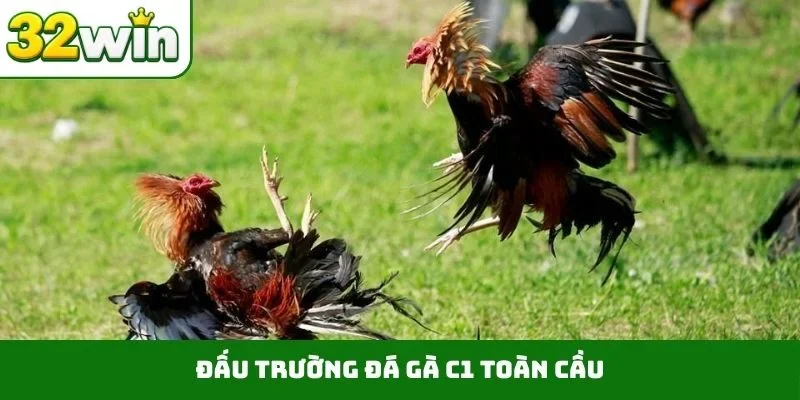 Đá Gà C1 – Bùng Nổ Giải Đấu Đỉnh Cao Gay Cấn Tại 32WIN Đấu trường đá gà C1 toàn cầu