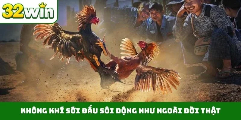 Không khí sới đấu sôi động như ngoài đời thật