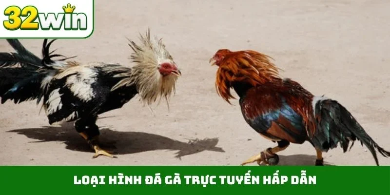 Đá Gà Trực Tuyến – Tận Hưởng Những Trận Đấu Nảy Lửa Tại 32WIN Loại hình đá gà trực tuyến hấp dẫn