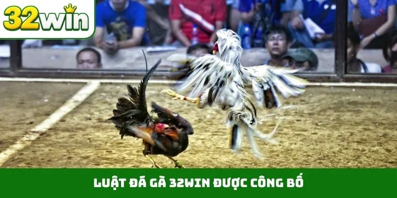 Đá Gà 32WIN Luật đá gà 32WIN được công bố