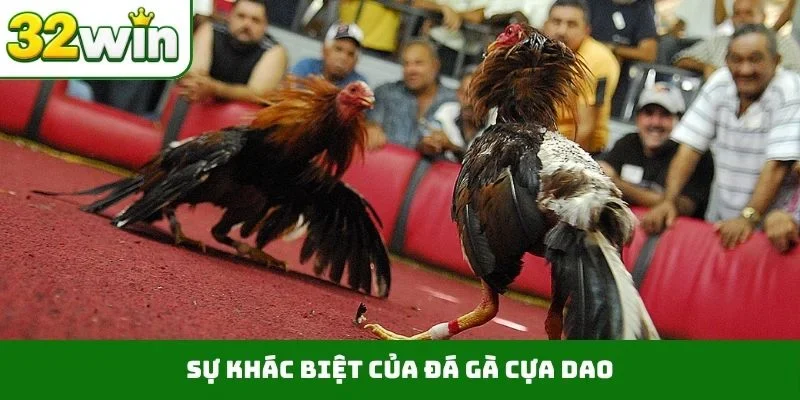 Sự khác biệt của đá gà cựa dao