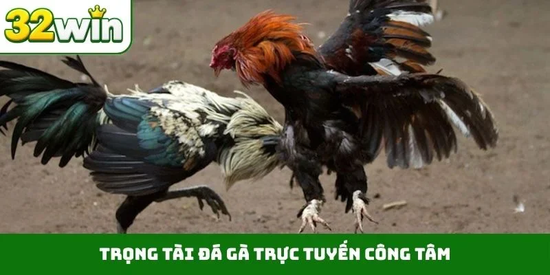 Đá Gà Trực Tuyến – Tận Hưởng Những Trận Đấu Nảy Lửa Tại 32WIN Trọng tài đá gà trực tuyến công tâm